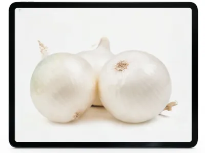 white onion.webp load=